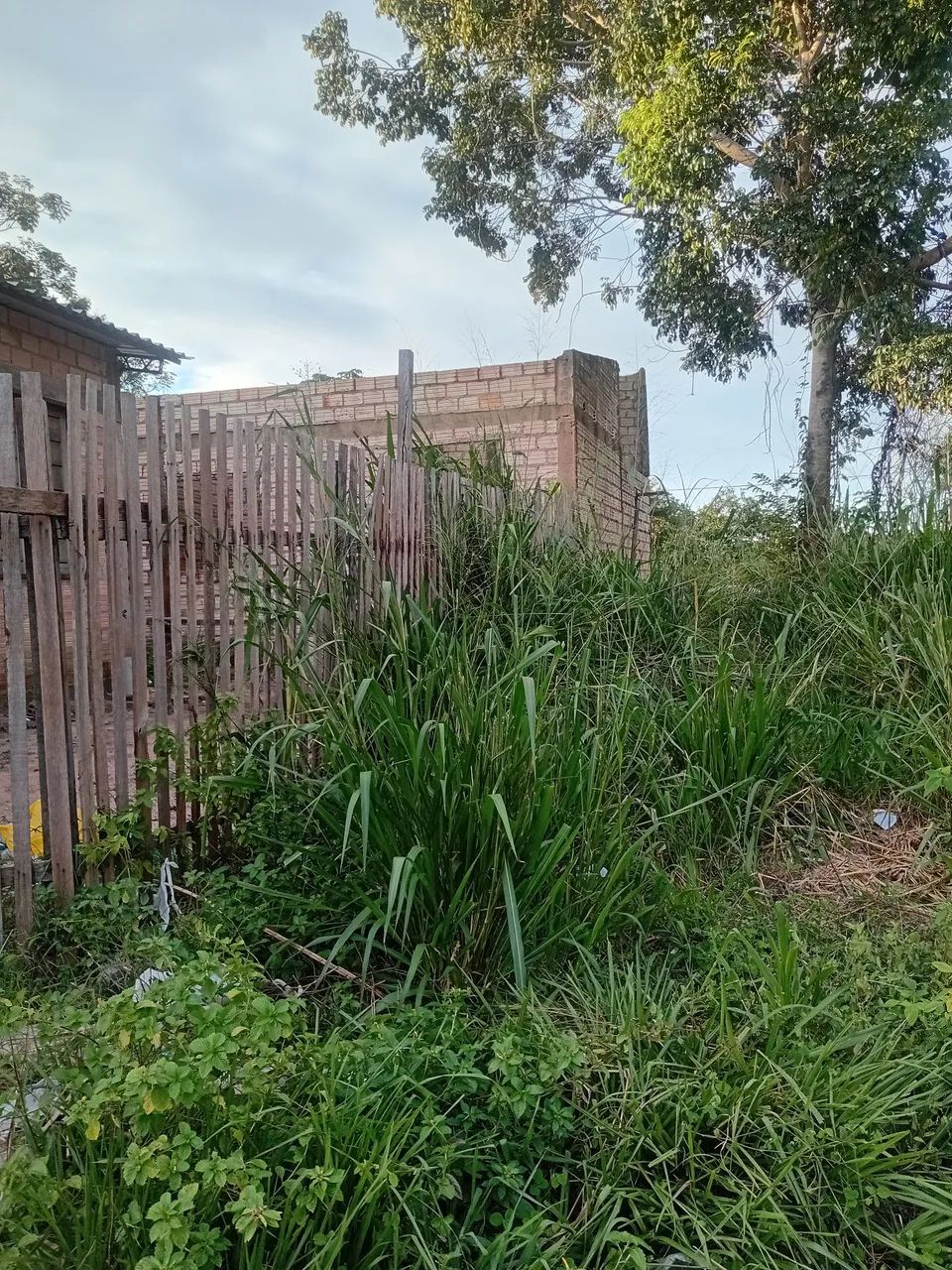 Casa com galpão  - Foto 4