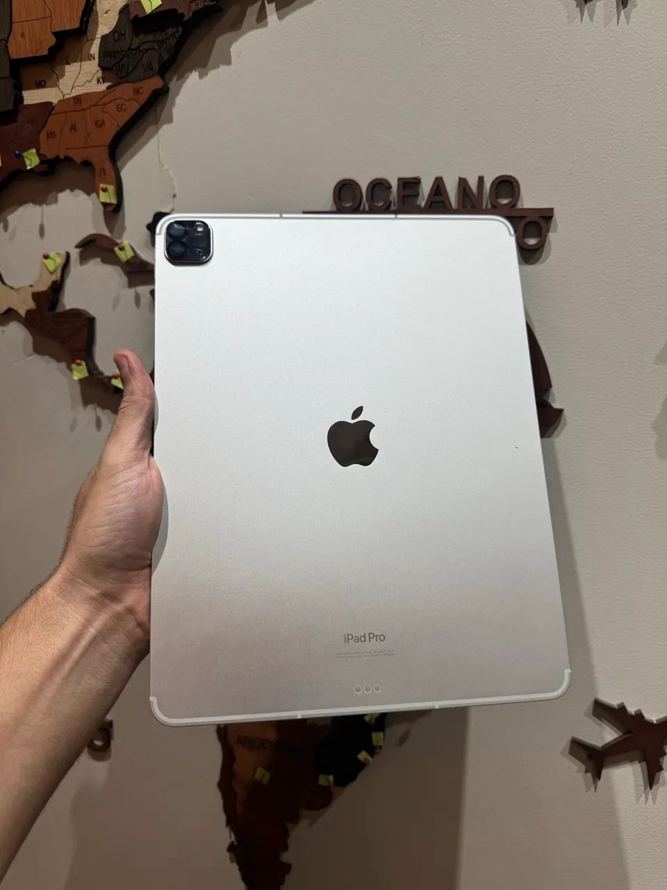 iPad Pro m2 12.9 pol 128gb wifi + celular com garantia Apple 