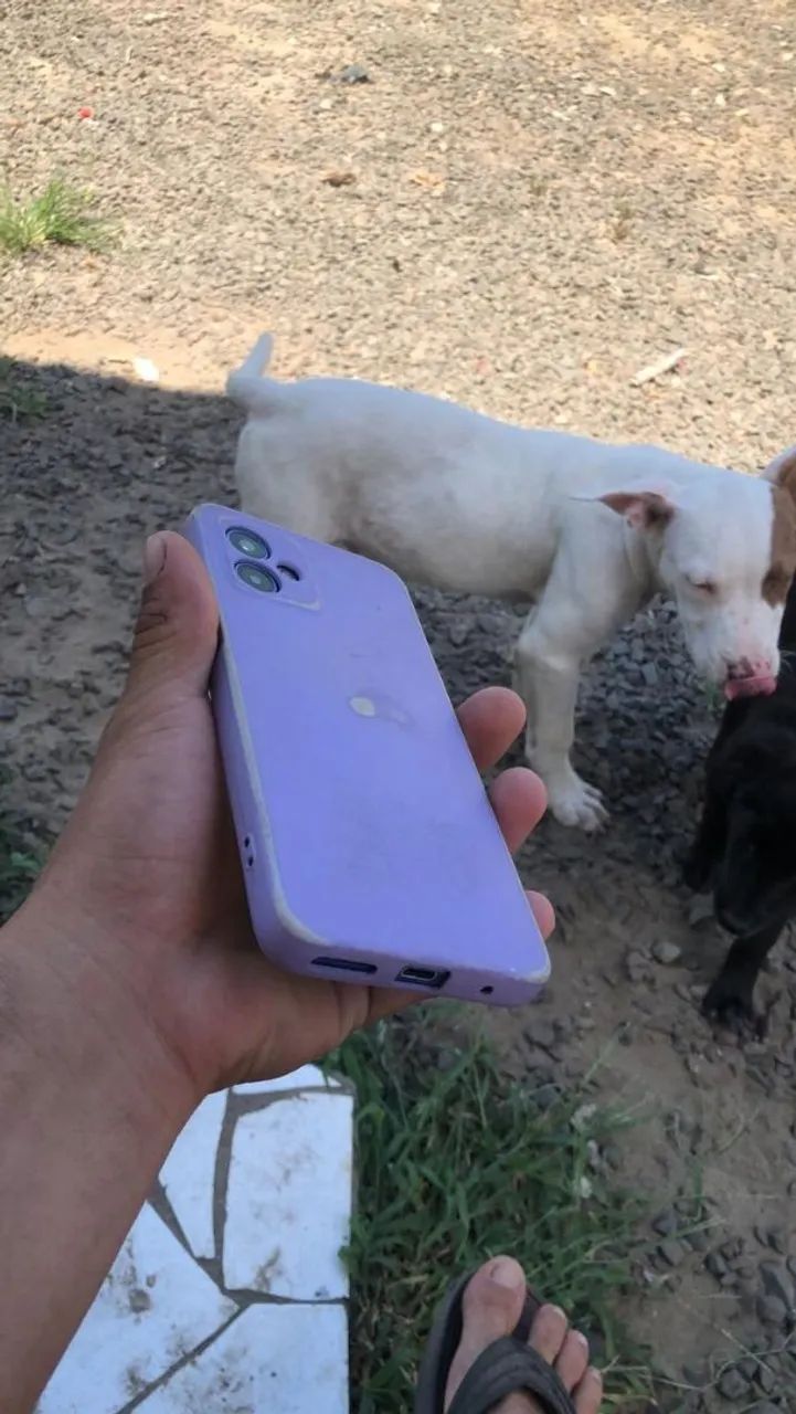 Celular moto g14 - Foto 3