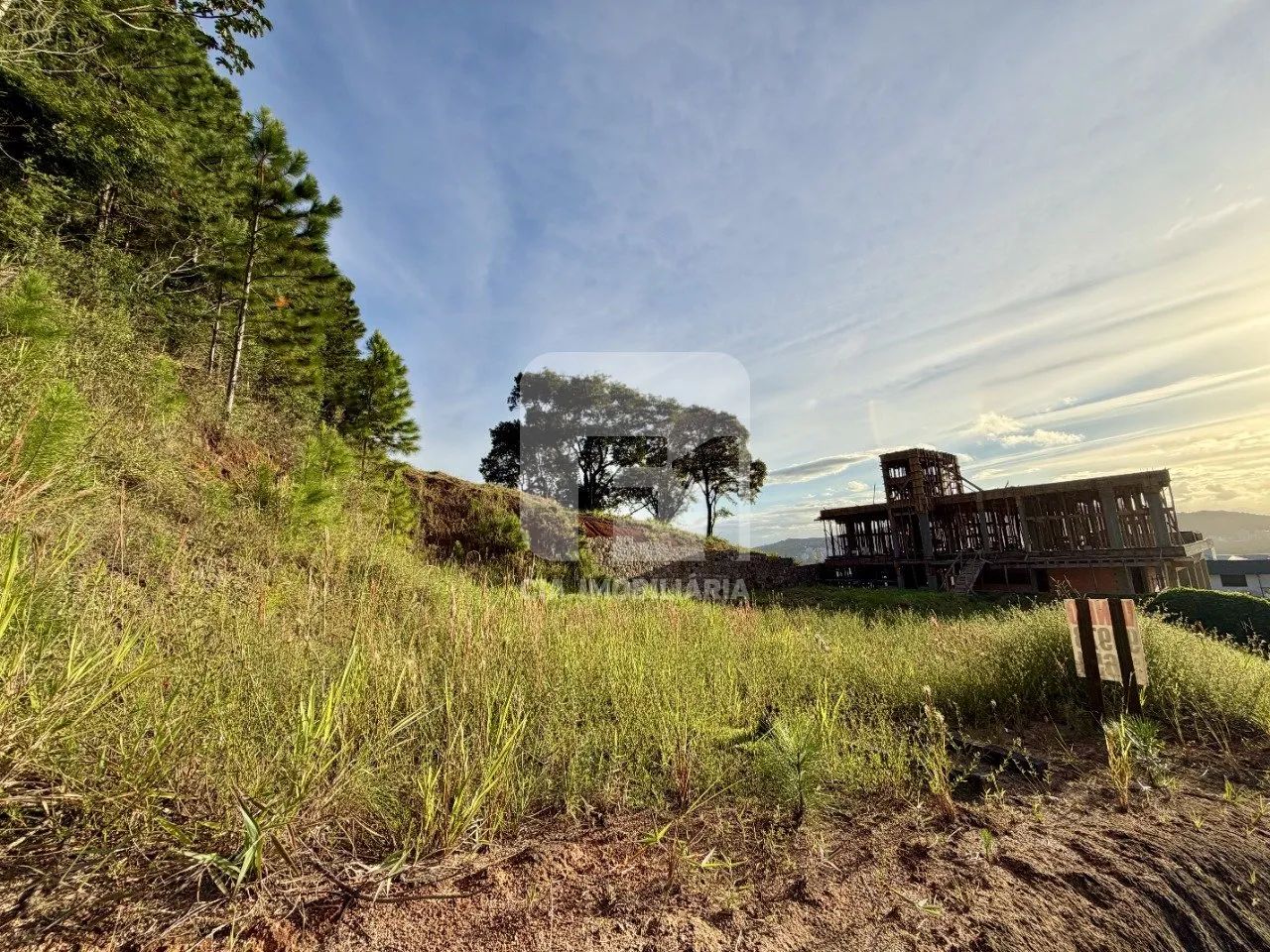 Terreno à venda no Itacorubi - Foto 4