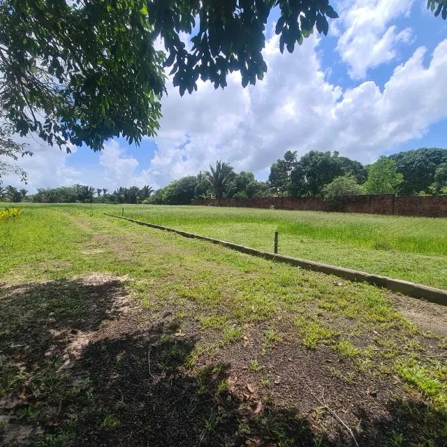 Vendo 2 hectares em Rosário - Foto 3