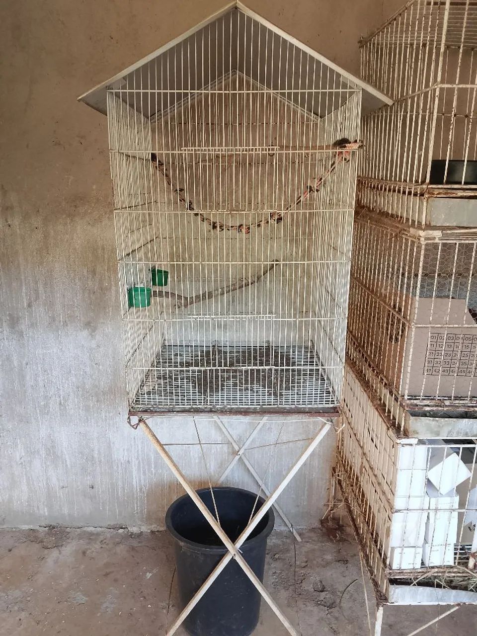 Gaiola grande com pé  - Foto 3