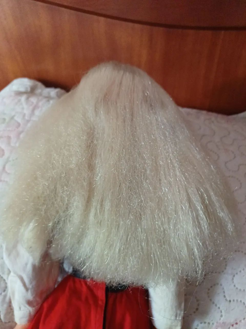 Boneca xuxa da mimo  - Foto 5