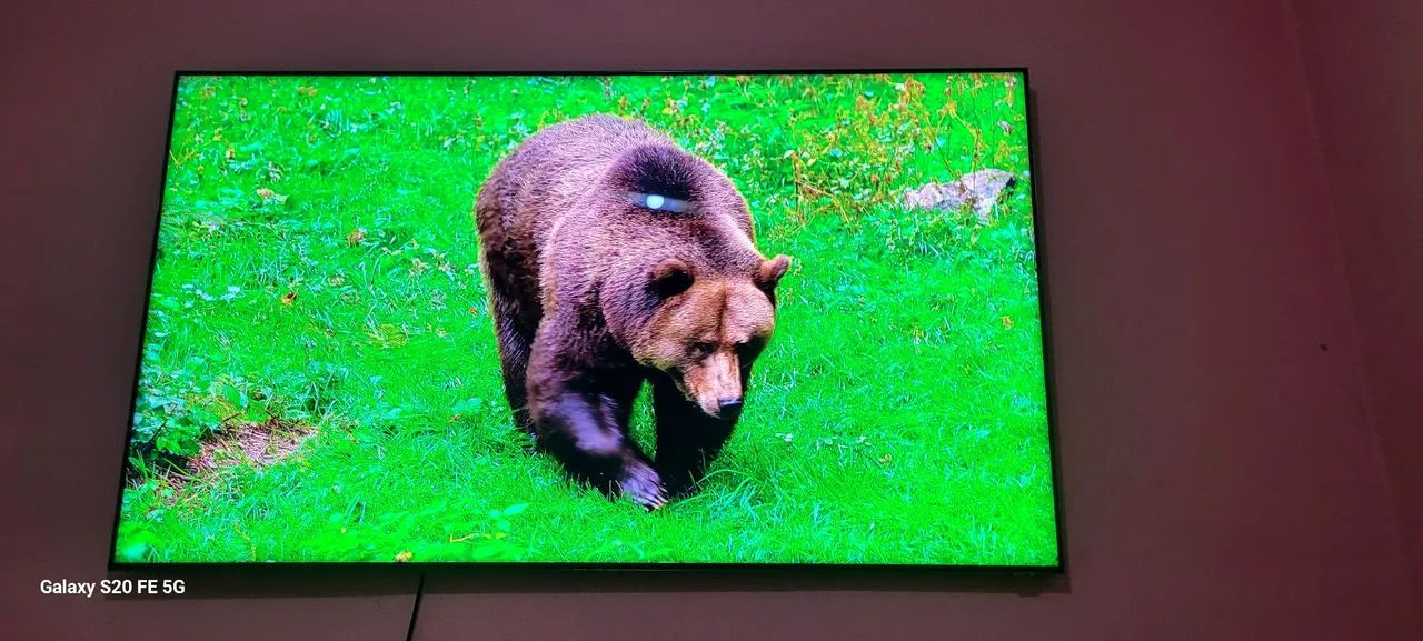 TV QLED 8K SAMSUNG 75 POLEGADAS 