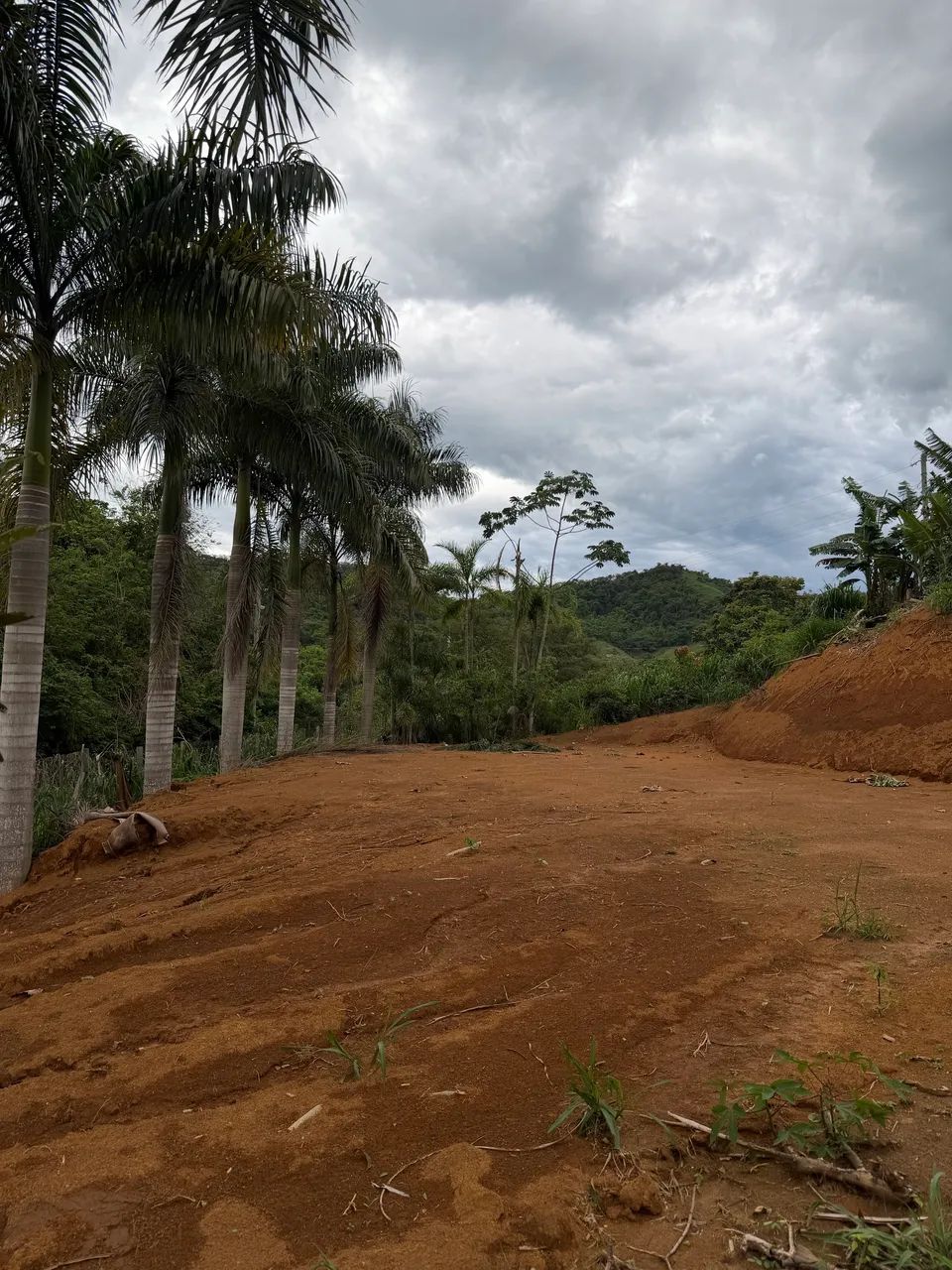 Vende-se chácara no Lavrinha/Quilombo - Foto 2