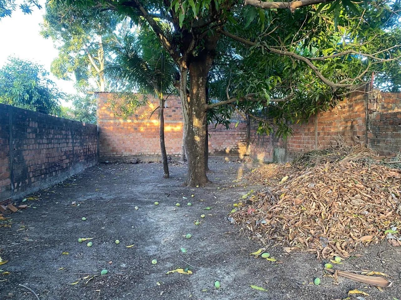 TERRENO OPORTUNIDADE  - Foto 3