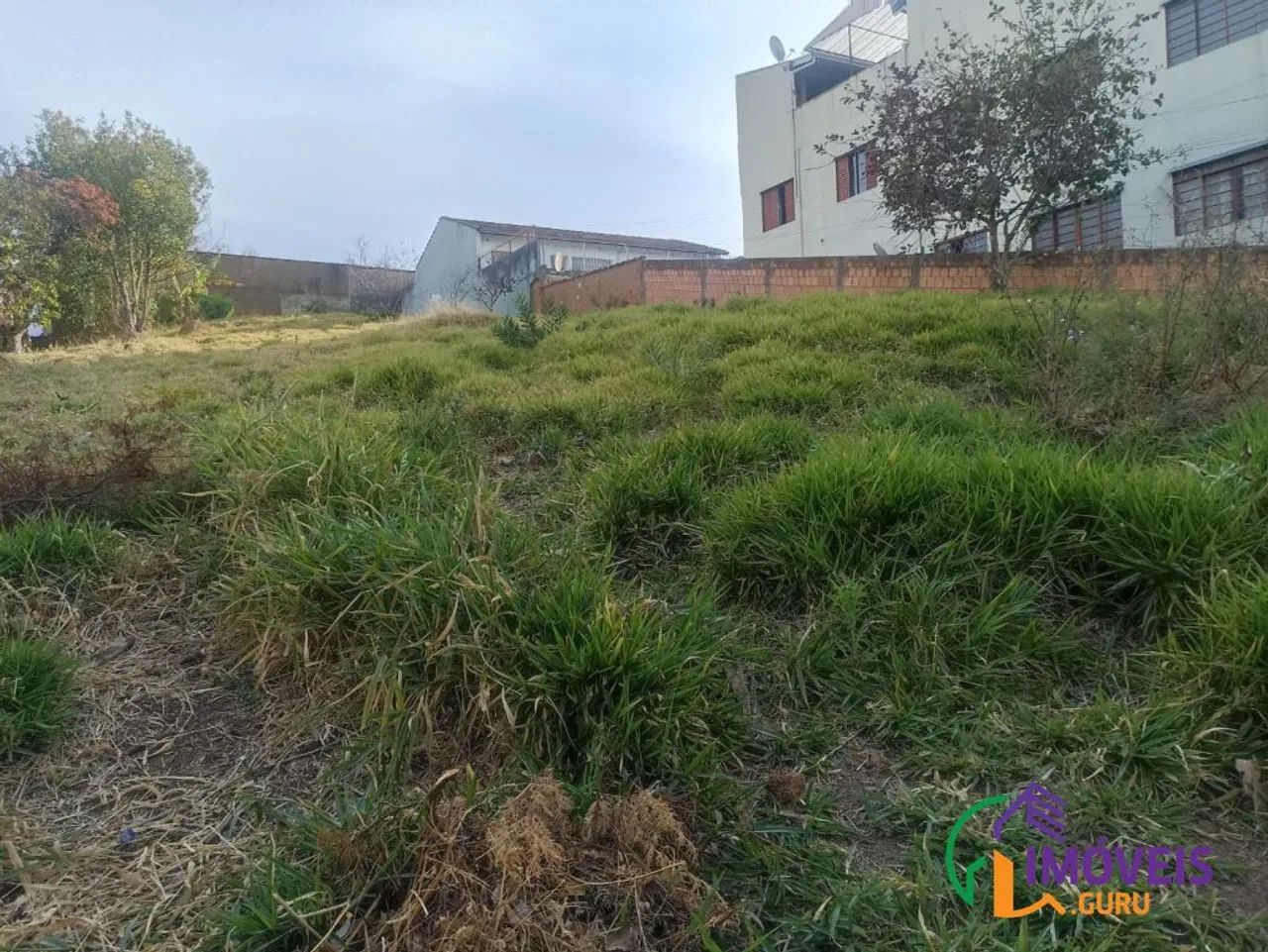 TERRENO - VILA TOGNI - MG - Foto 5