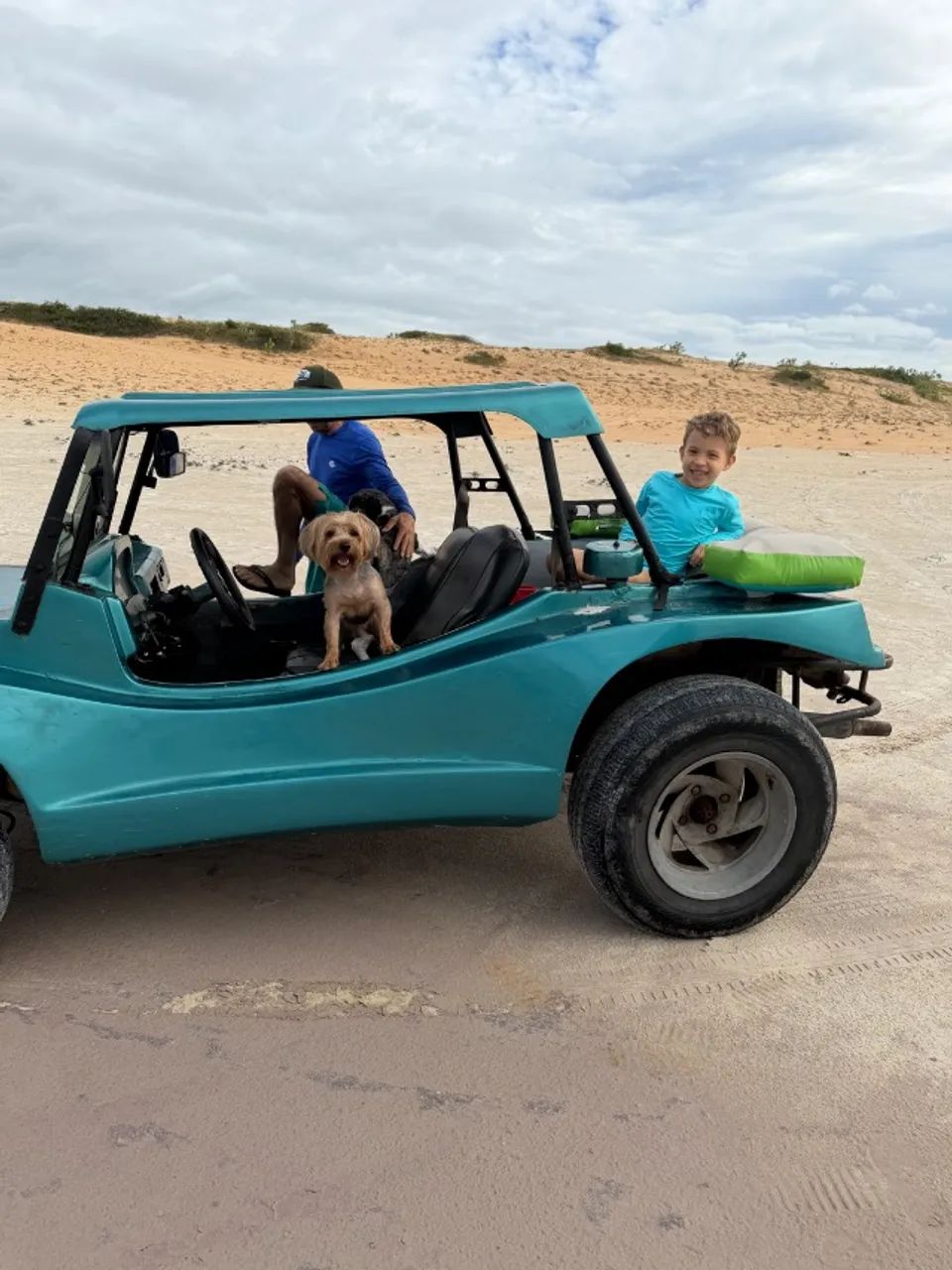 Cachorro  - Foto 2