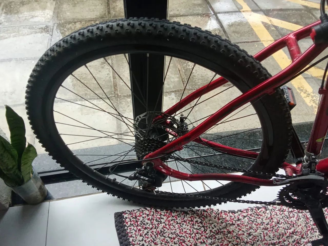 Bicicleta 