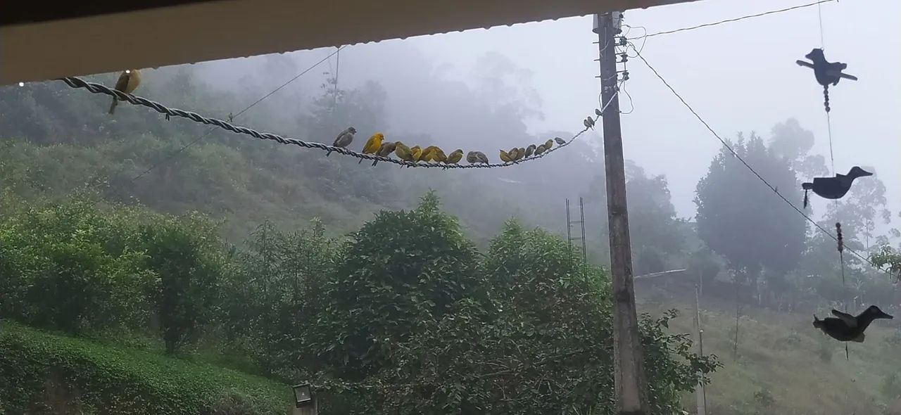 Oportunidade! Chácara