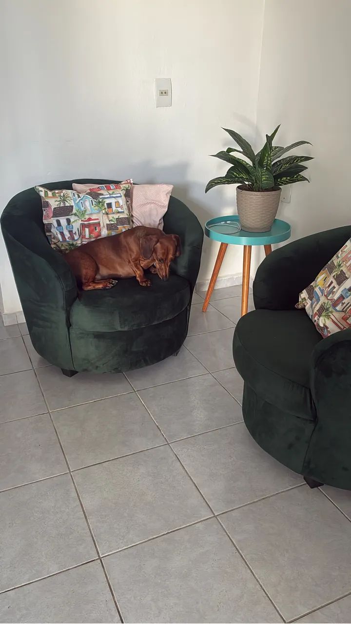 Poltronas - Foto 2