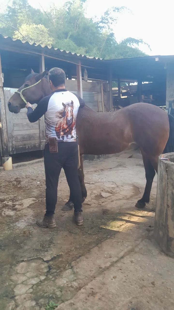 Caseiro com experiência 