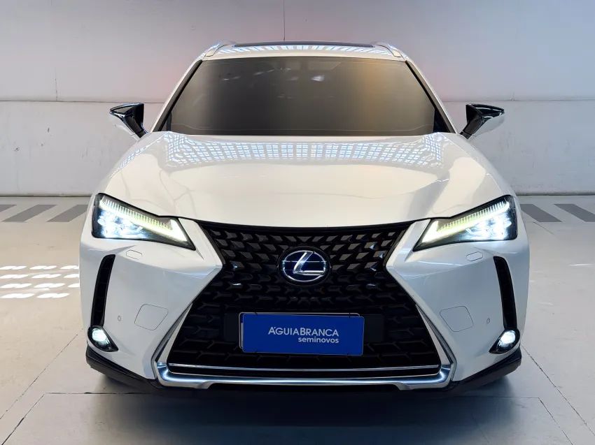 Lexus UX-250h Luxury 2.0 16V Aut.(hybrid), foto 3 de 19