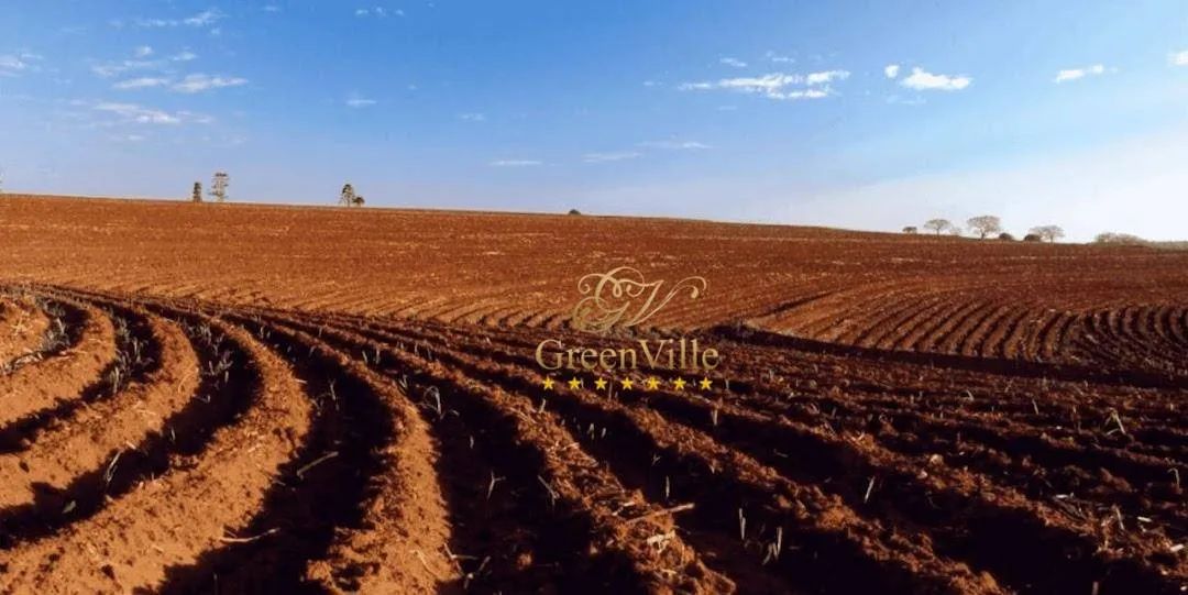 Maringá e Astorga | Fazenda | 600 Hectares | Terra Roxa | - Foto 3