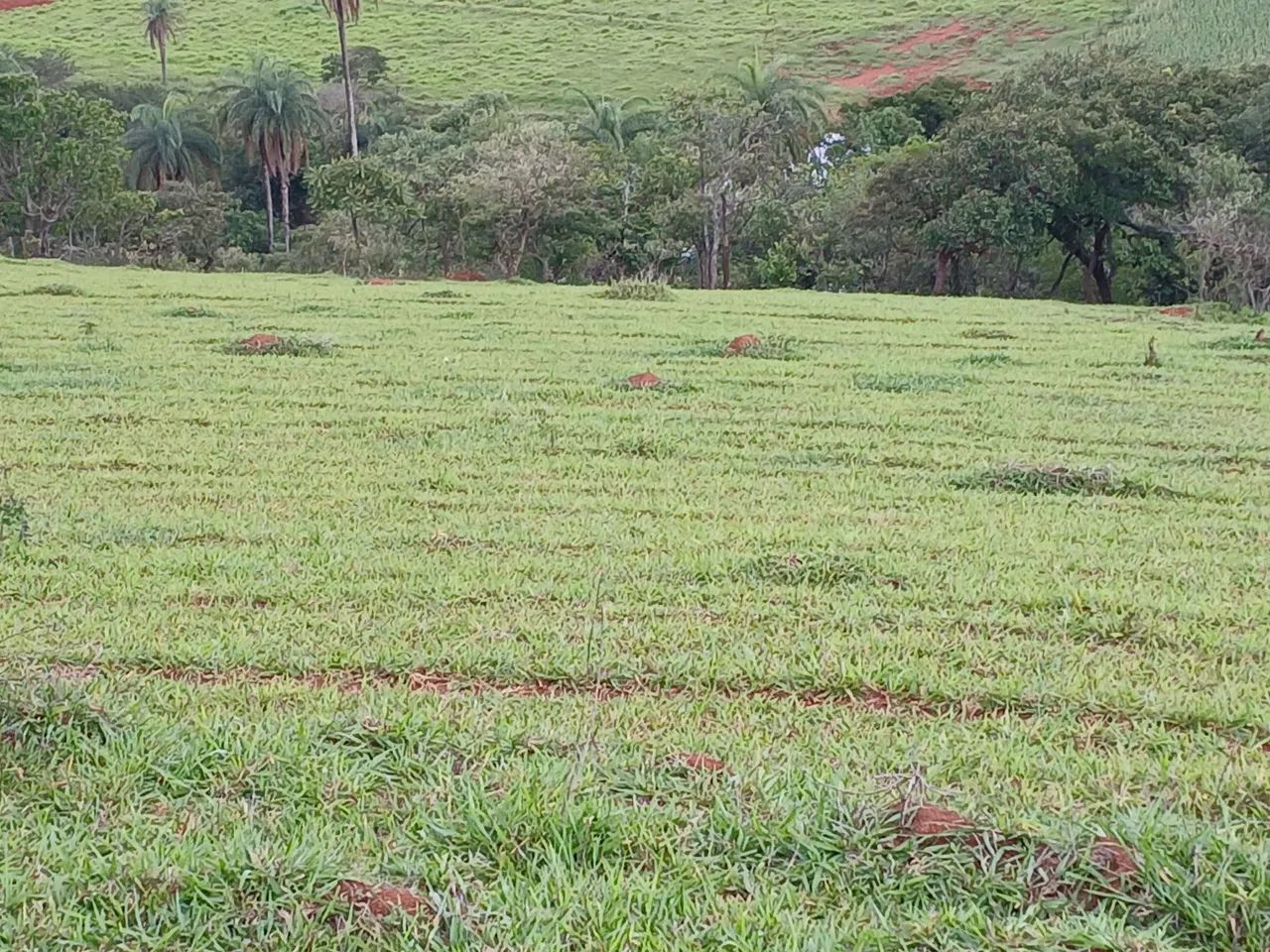 Terreno de 20.000m² em Serra Azul distrito de Mateus Leme/MG - Foto 11