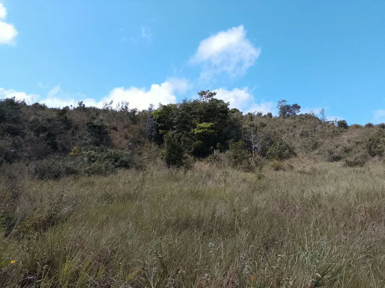 Terreno - Foto 5