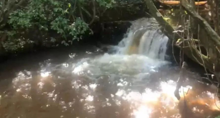 LINDO SÍTIO EM UBERLÂNDIA SENDO 02 ALQUEIRES  - Foto 2
