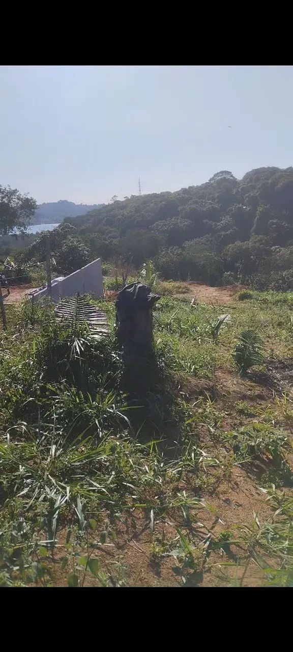Terrenos a venda e negócios catiras - Foto 5