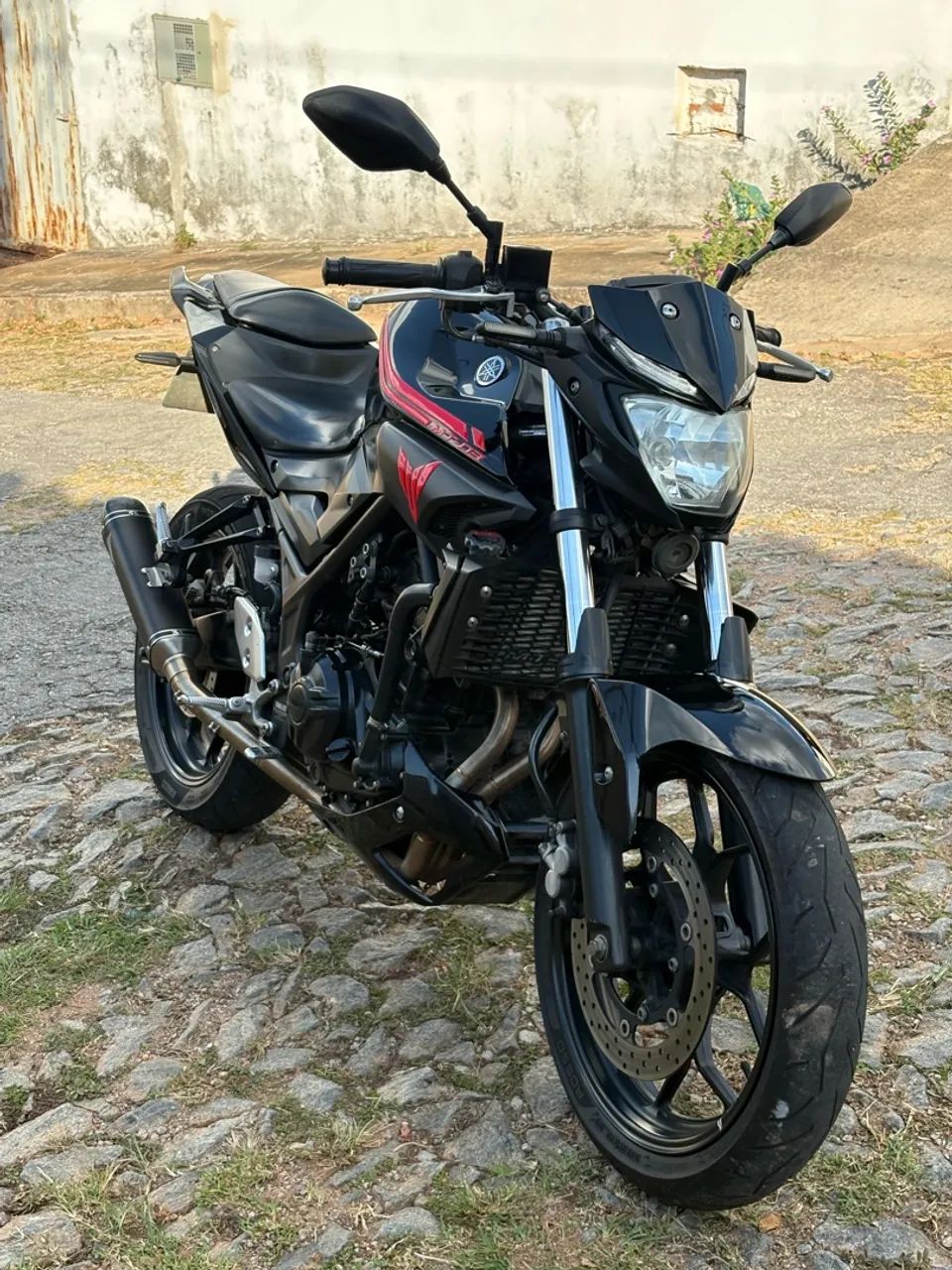 Mt 03 2018 - Foto 2