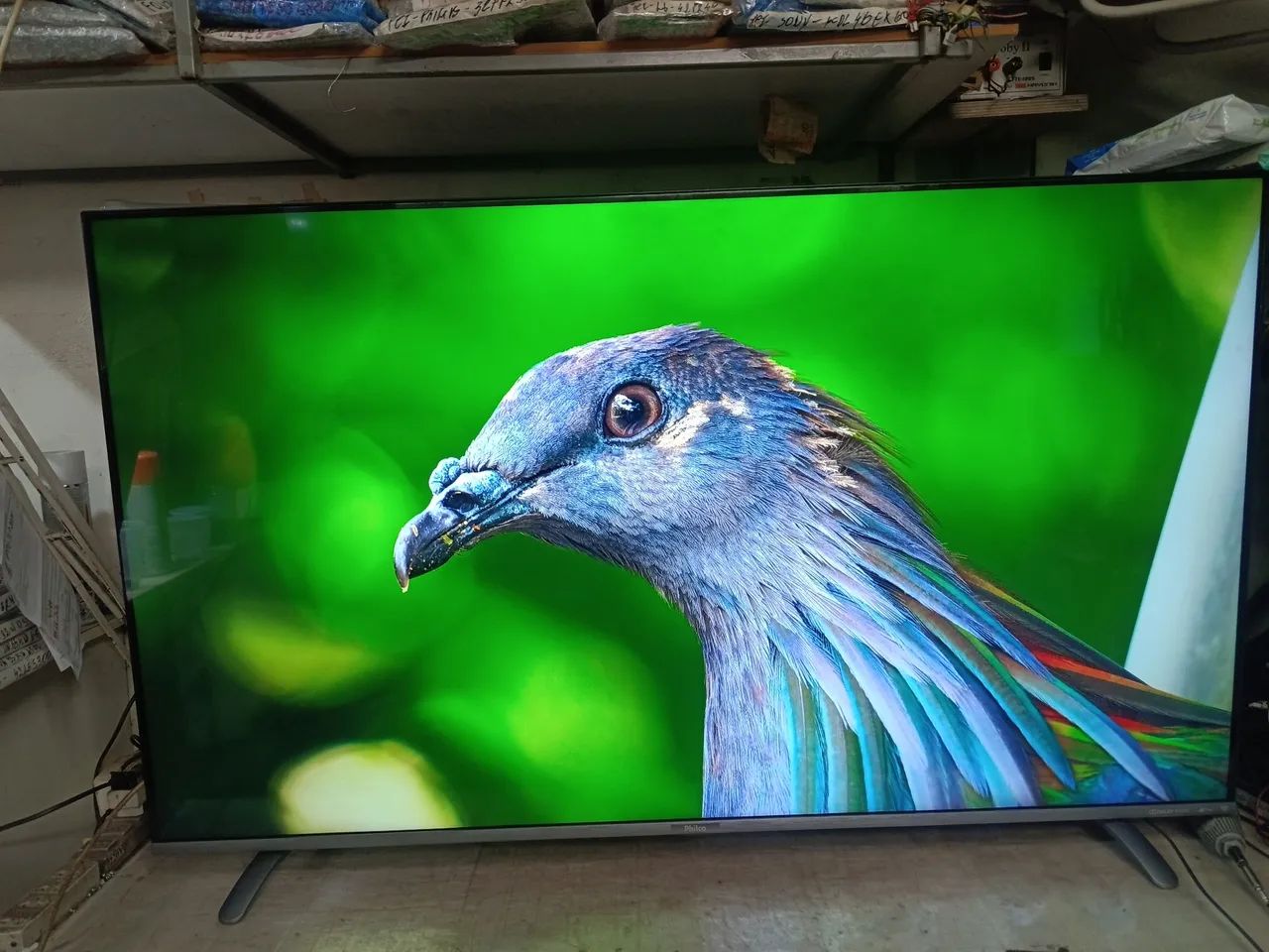 TV SMART PHILCO "55"