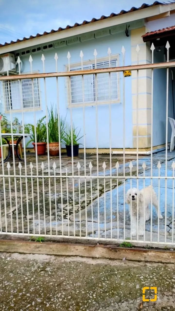 Brognoli Vende - Casa Vargem Bom Jesus - Foto 2