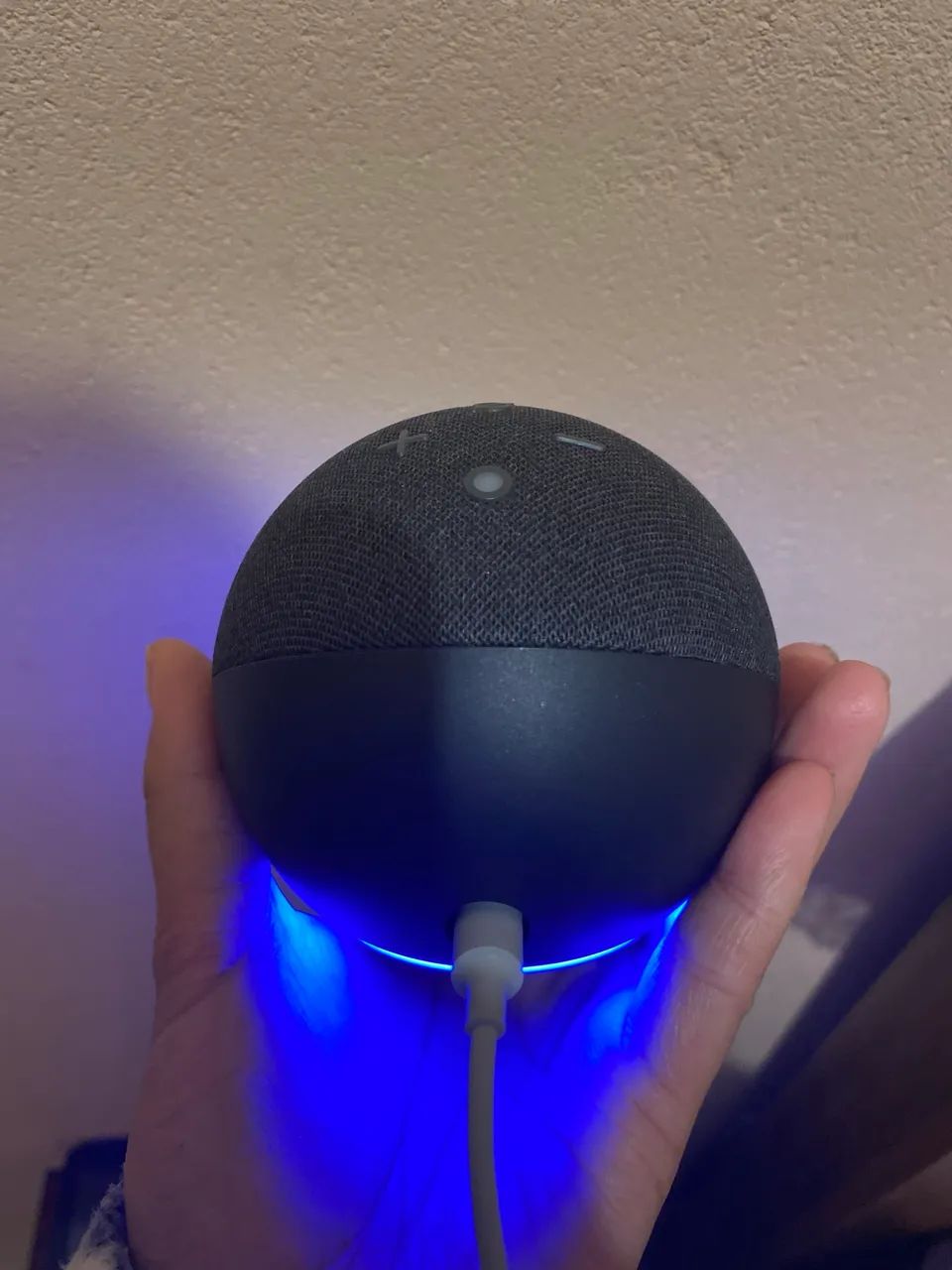 Alexa - Foto 4