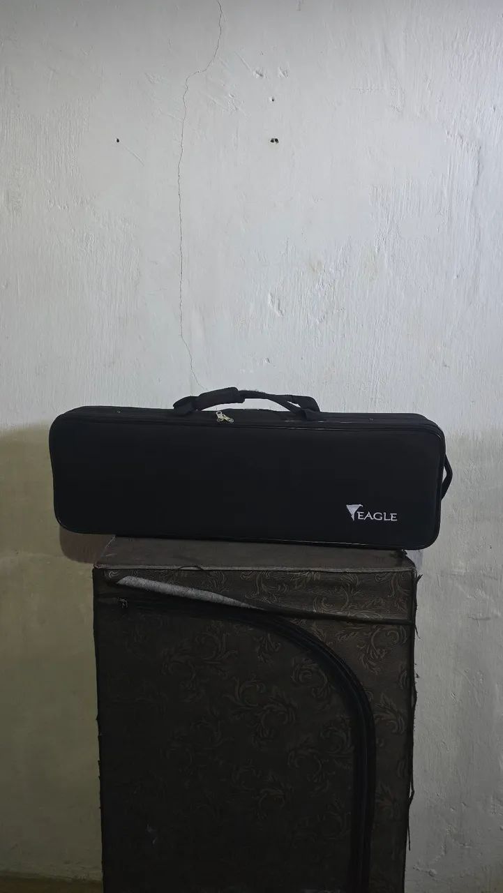 Violino Eagle 4/4 VE441