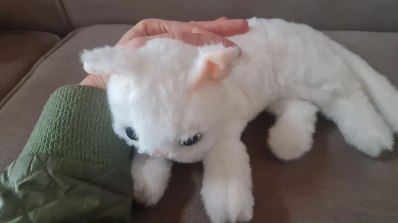 Pelúcia nova gato branco