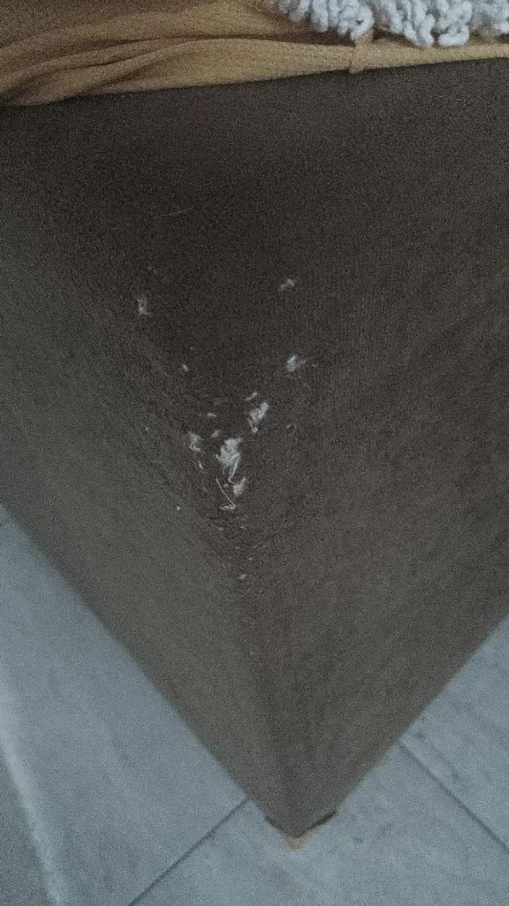 Sofá de dois lugares  - Foto 4