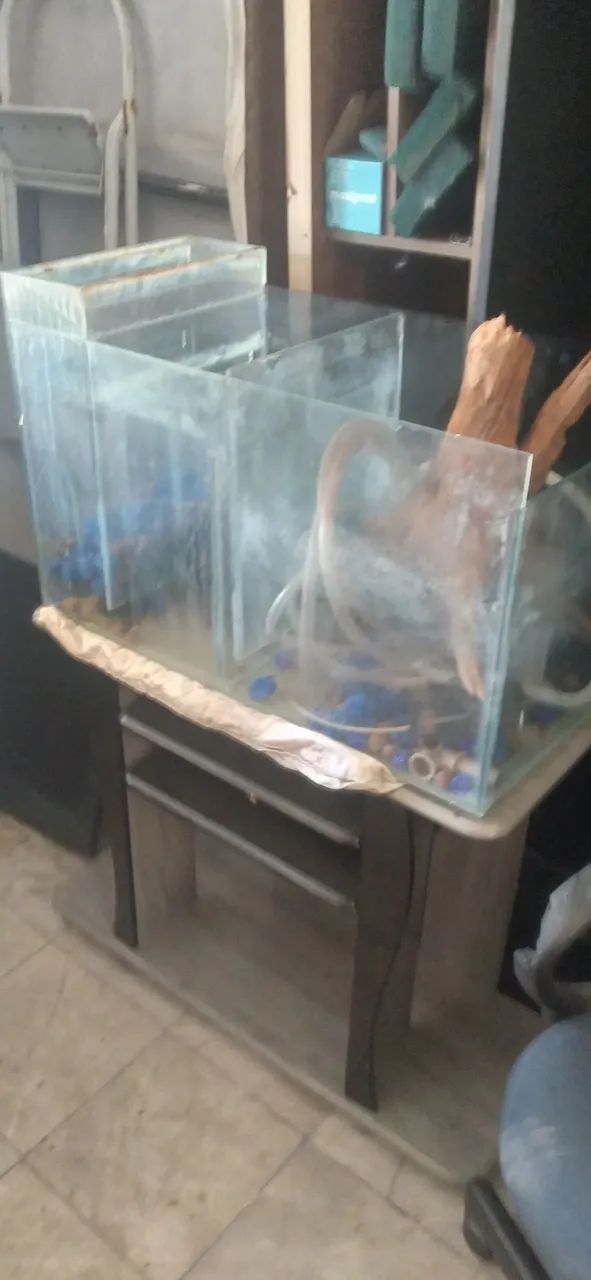Aquário perfeito com acessórios  - Foto 3
