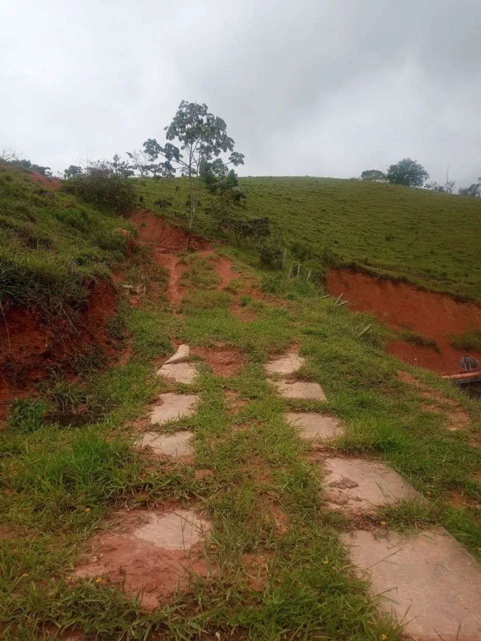 Chácara com 10.300m2  - Foto 3