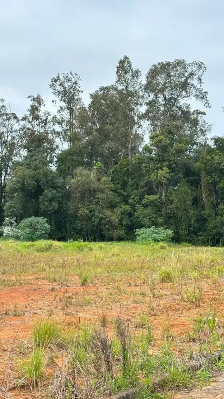 Lote na Quarta Linha - Criciúma/SC | 360 m² - Foto 3