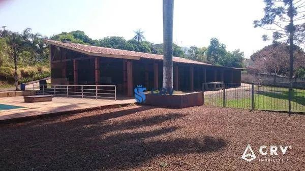 Chácara com 1 dormitório à venda, 11000 m² por R$ 10.000.000,00 - Chácaras Cambé Londrina  - Foto 6