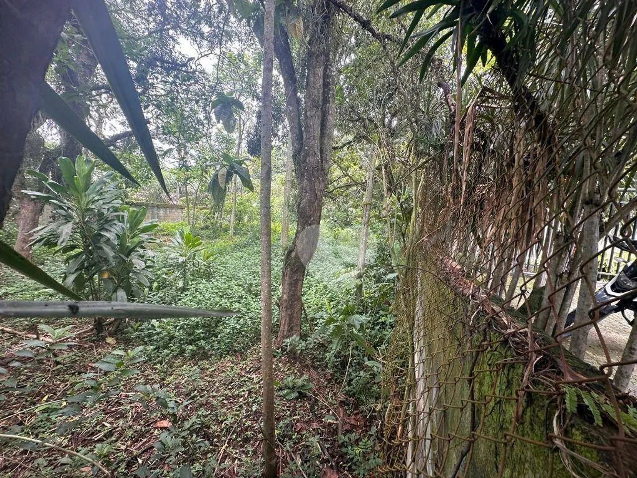 Terreno à venda, 1189 m² por R$ 800.000,00 - Vargem Grande - Rio de Janeiro/RJ - Foto 5