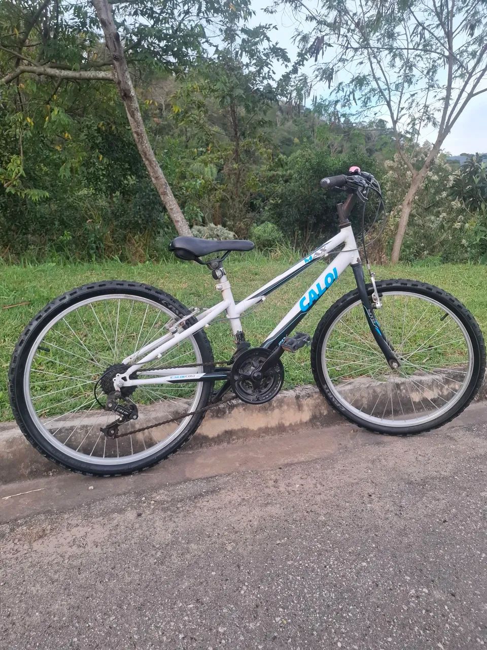 CALOI ARO 24  - Foto 5