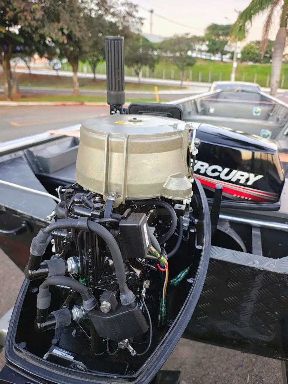 Conjunto completo(canoa, carreta e motor) - Foto 4