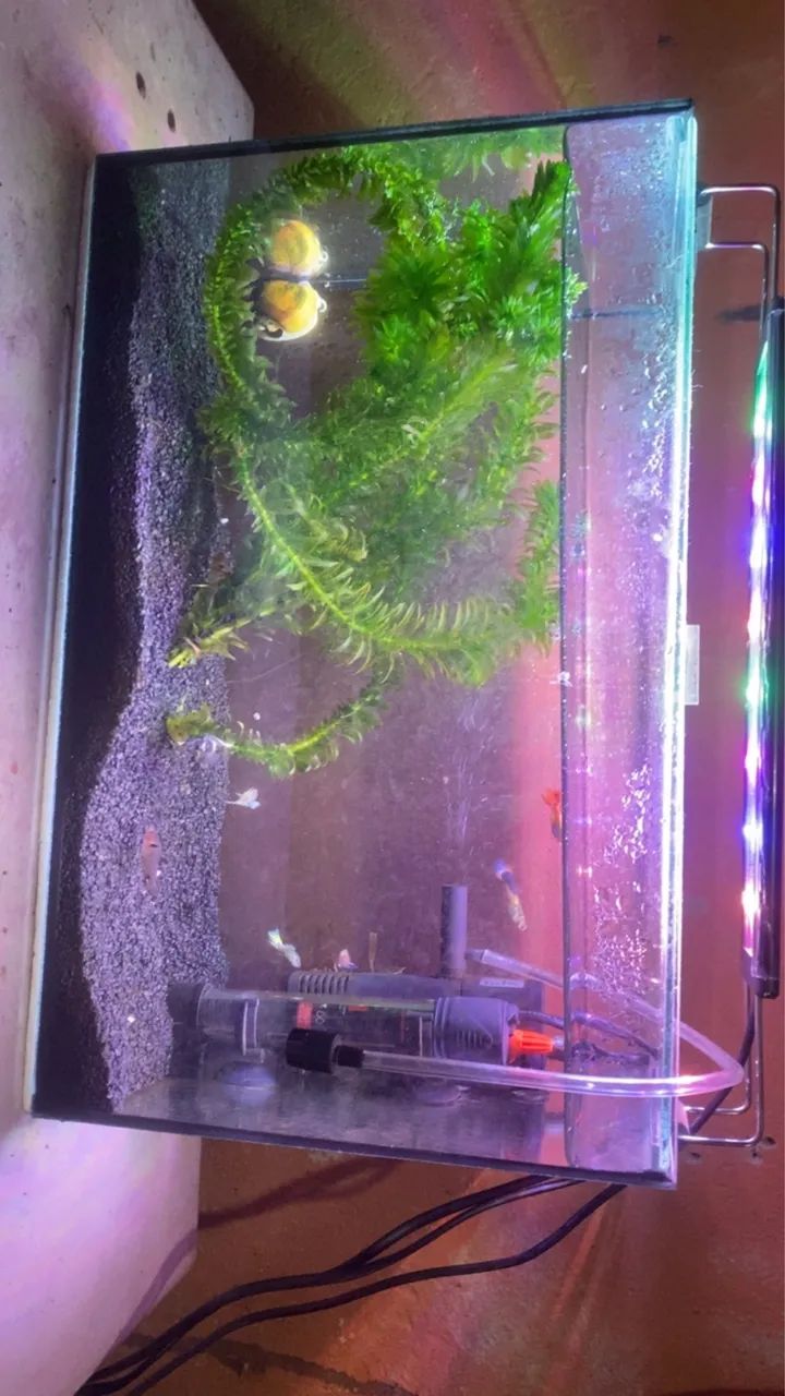 Aquário com led 