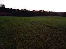 Terrenos em Contenda PR, 