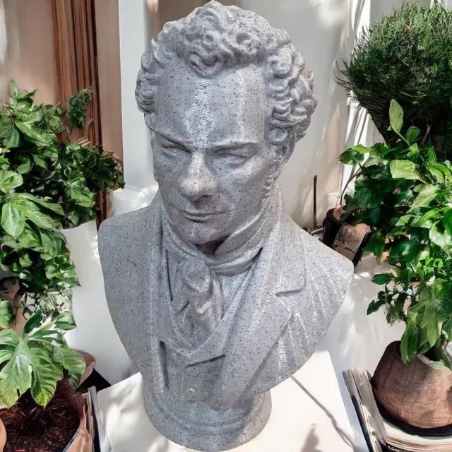 Busto 3D - Schubert - Foto 4