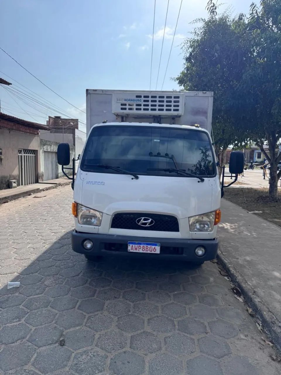 Caminhão baú refrigerado 