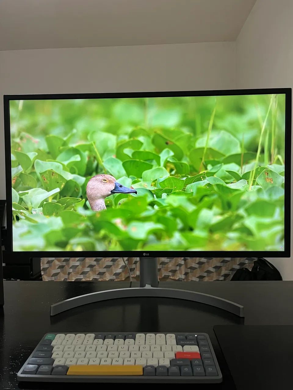 Monitor LG 32 polegadas 4K 60hz com hub USB/Thunderbolt