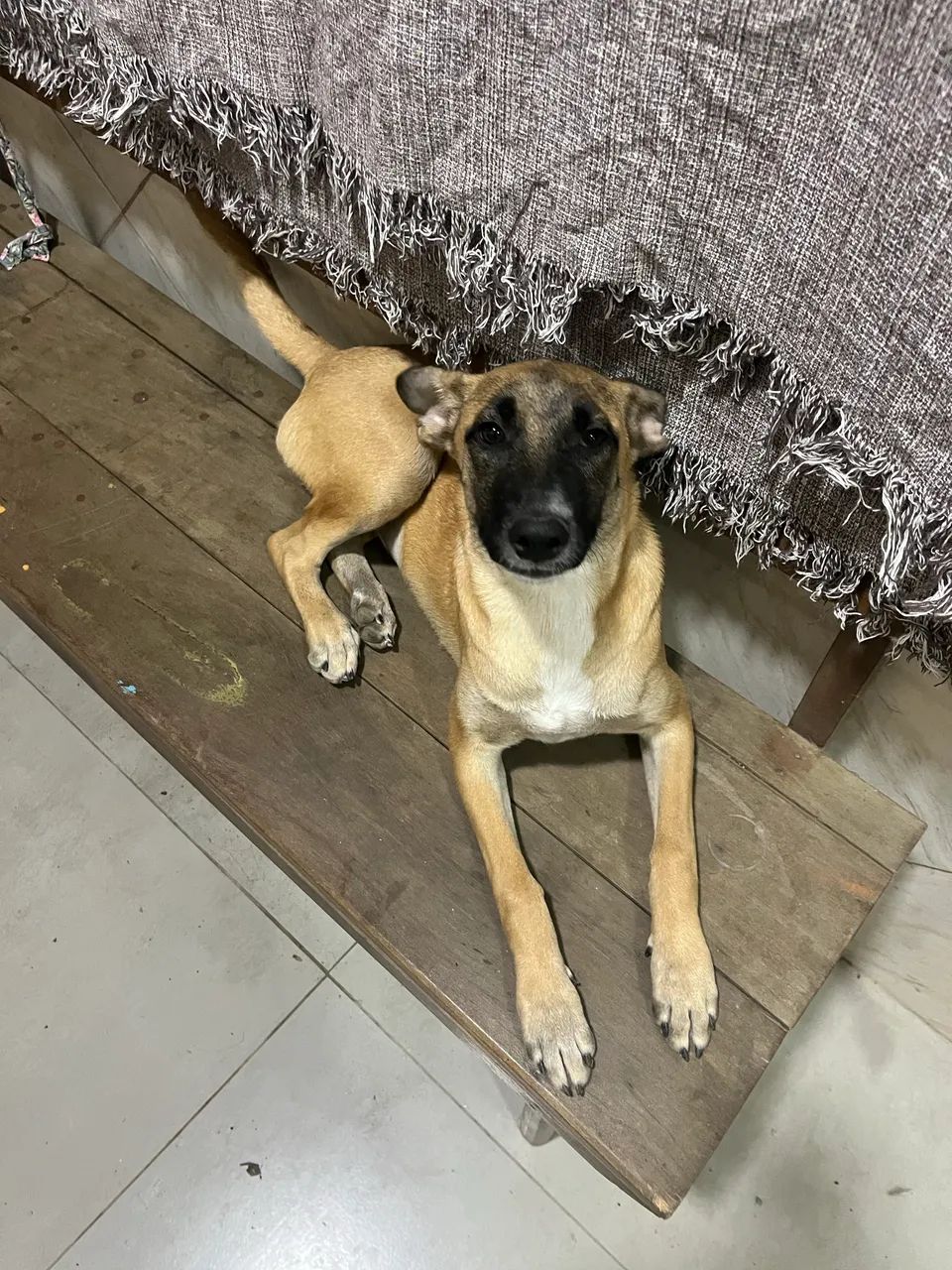 Doação  - Foto 3