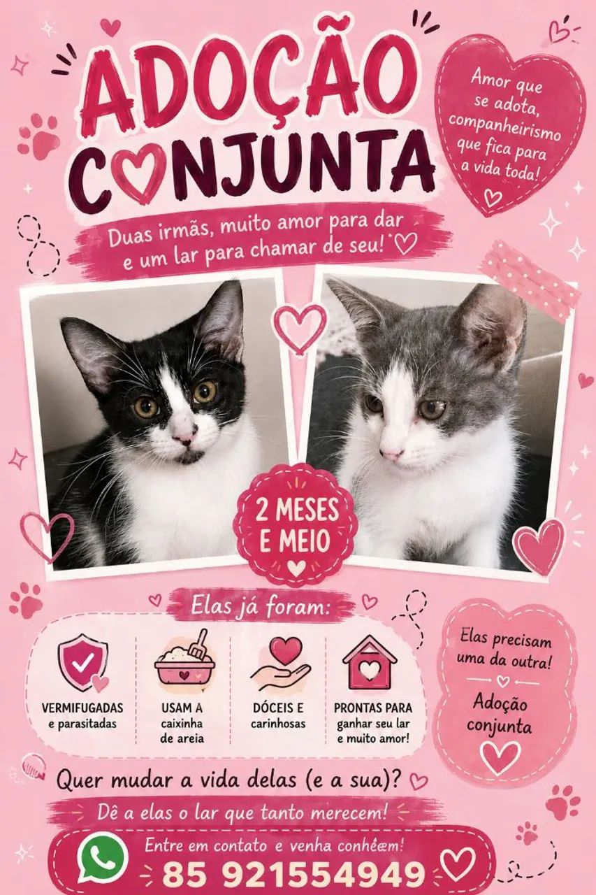 Adoção de duas bebês - Foto 2