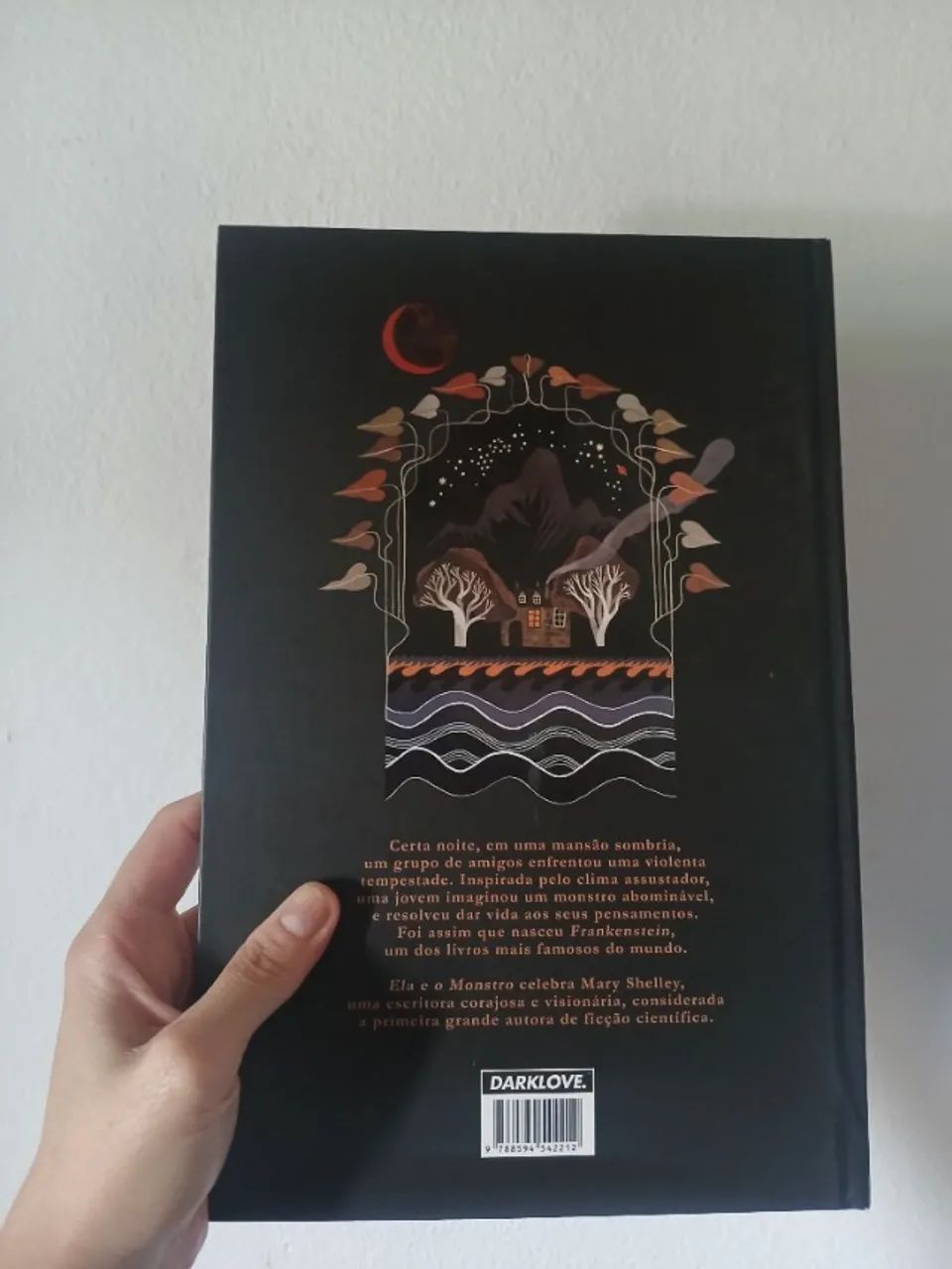 Ela e o monstro Darkside books - Foto 3