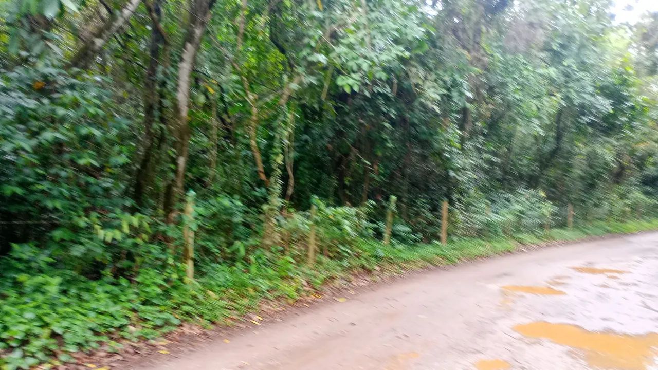 Área  em Onça do Pitangui.  Mg - Foto 4