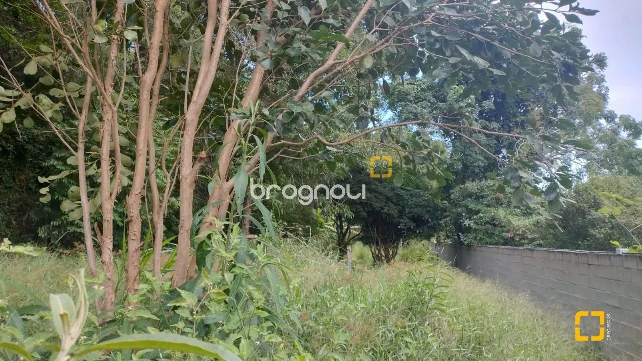 Terreno Comercial/Residencial - Ratones, Florianópolis - Foto 5