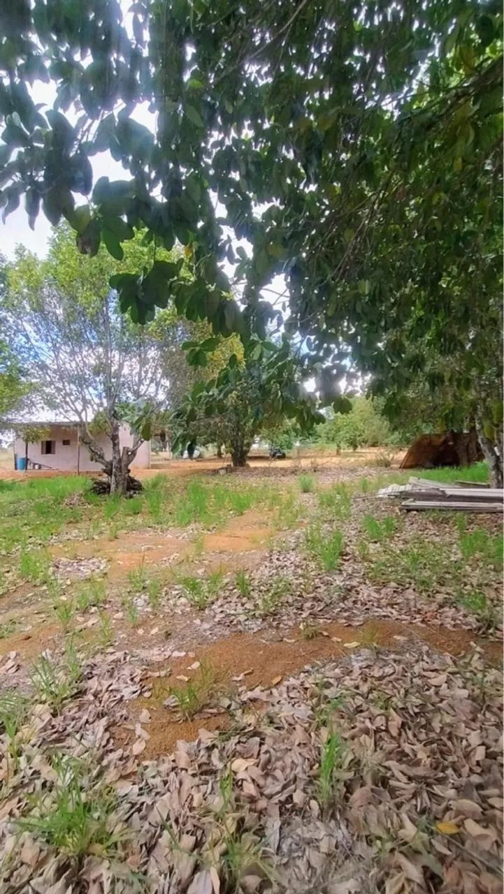 Vendo Chácara Rodeador Brazlândia  - Foto 7