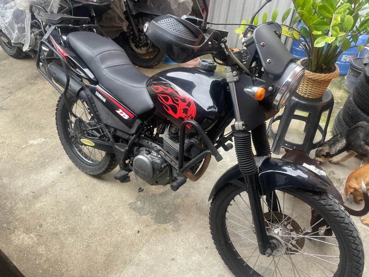 Tdm 225 - Foto 2