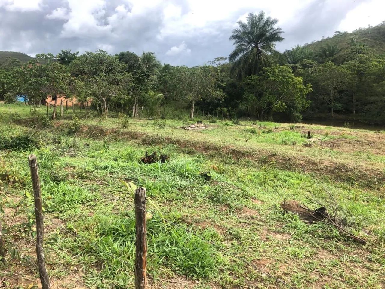 Sítio / Chácara - 2.300m2 - Foto 4
