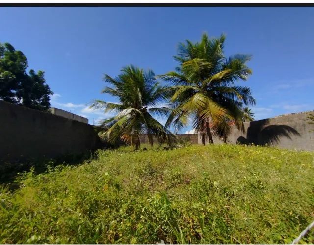 Lote com 325 m2 na Aruana  - Foto 3